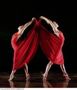 momix, alchem. 2 reds
